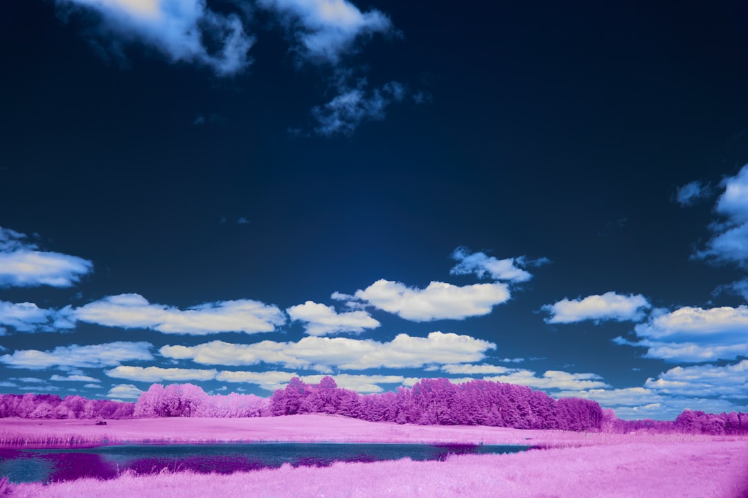 Vibrant landscape with pink fields and blue sky — Photo by Wolfgang Hasselmann on Unsplash