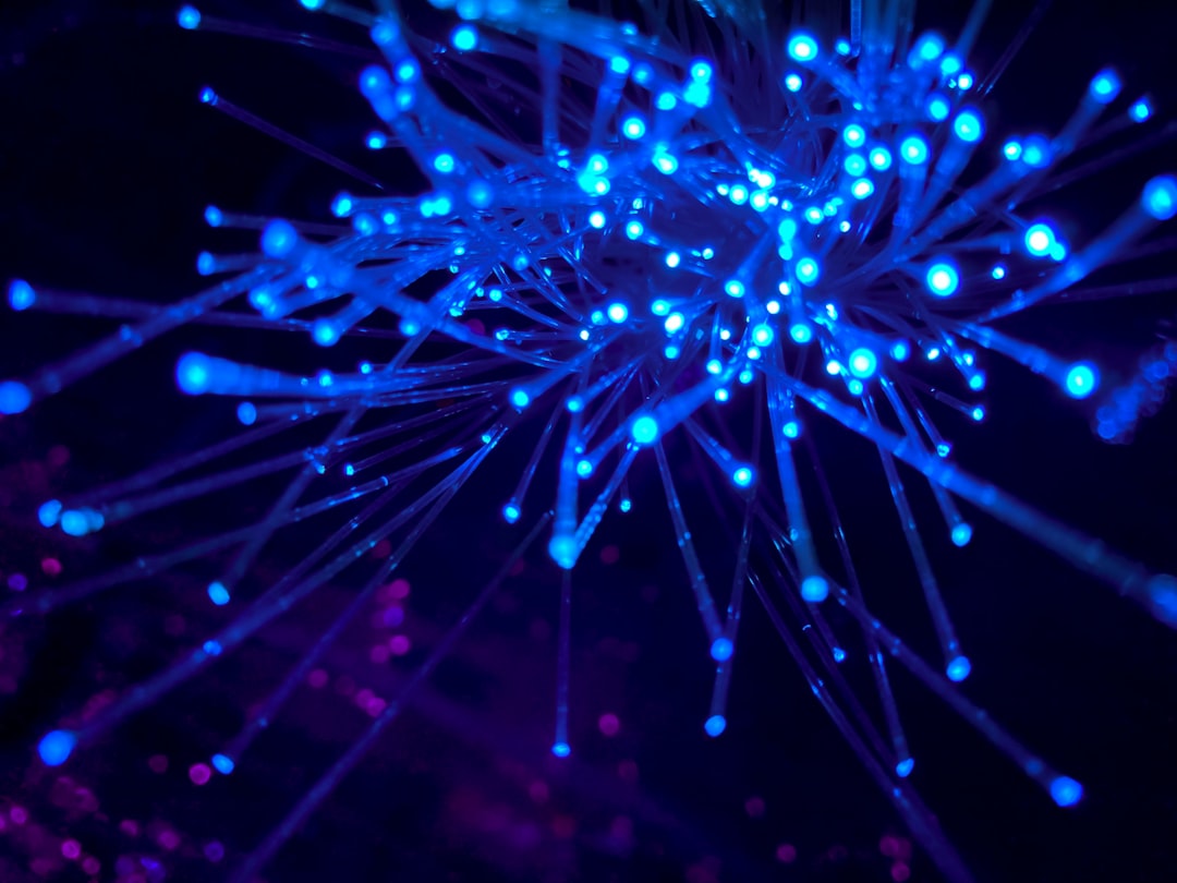 purple and blue light digital wallpaper — Photo by JJ Ying on Unsplash