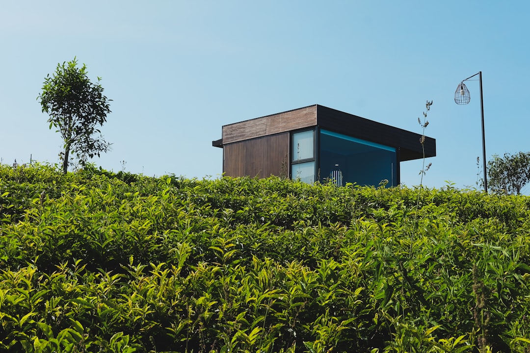 Modern cabin nestled in lush green hillside under clear sky. — Photo by Stanley Kustamin on Unsplash