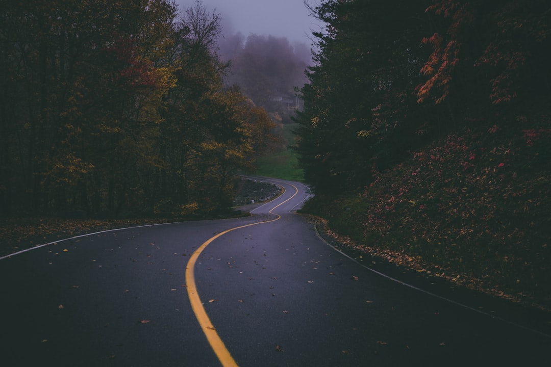 empty road — Photo by Florian Schneider on Unsplash