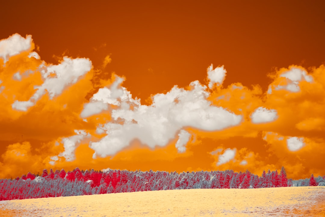 an orange sky with white clouds and trees — Photo by Wolfgang Hasselmann on Unsplash