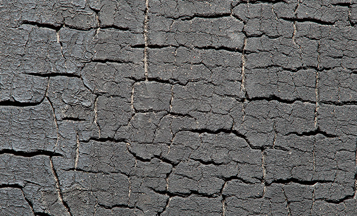 Texture 04